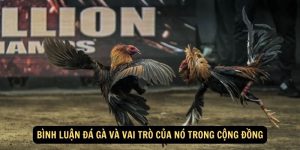 Binh luan da ga va vai tro cua no trong cong dong