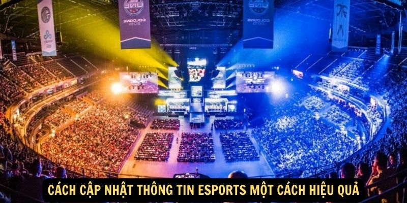 Cách cập nhật thông tin Esports một cách hiệu quả