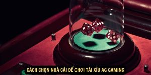 Cach chon nha cai de choi tai xiu AG Gaming