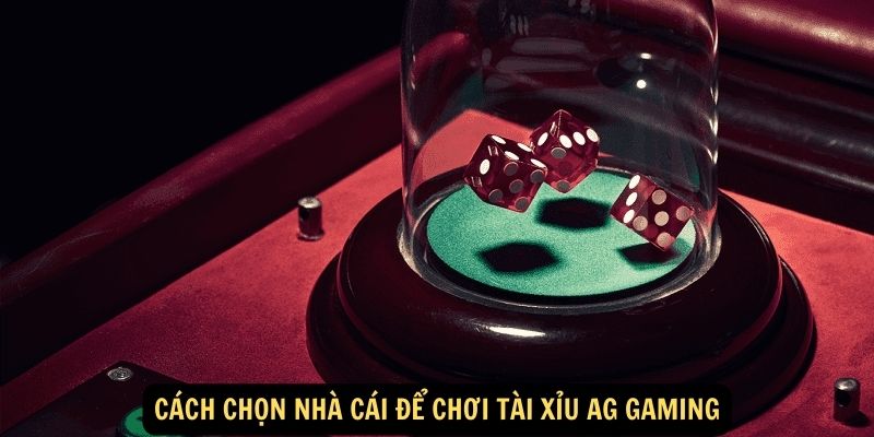 Cach chon nha cai de choi tai xiu AG Gaming