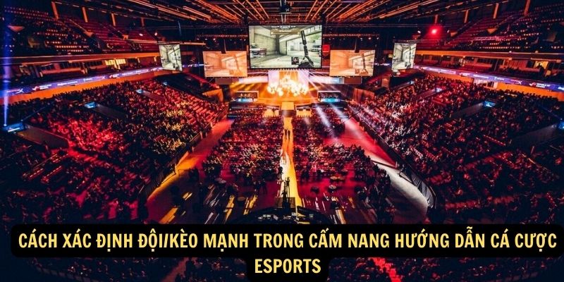 Cách xác định đội/kèo mạnh trong Cẩm nang Hướng dẫn cá cược Esports